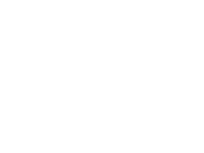 Bullsat